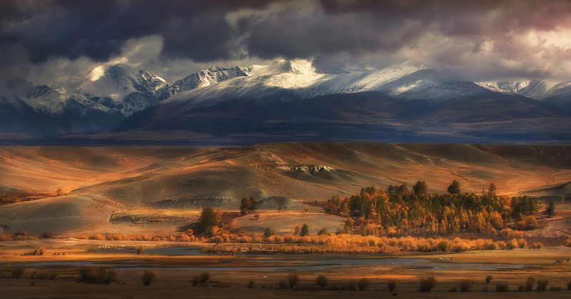 алтай, осень, курай, горы, озёра, тучи, прогсторы Алтайская осень фото превью