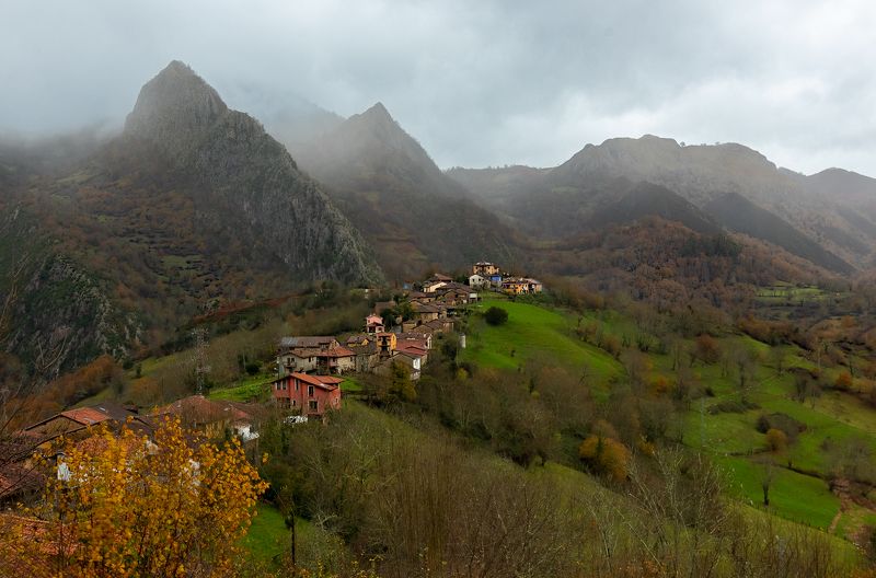 Amieva фото превью