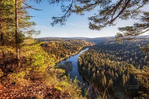 Золотая осень