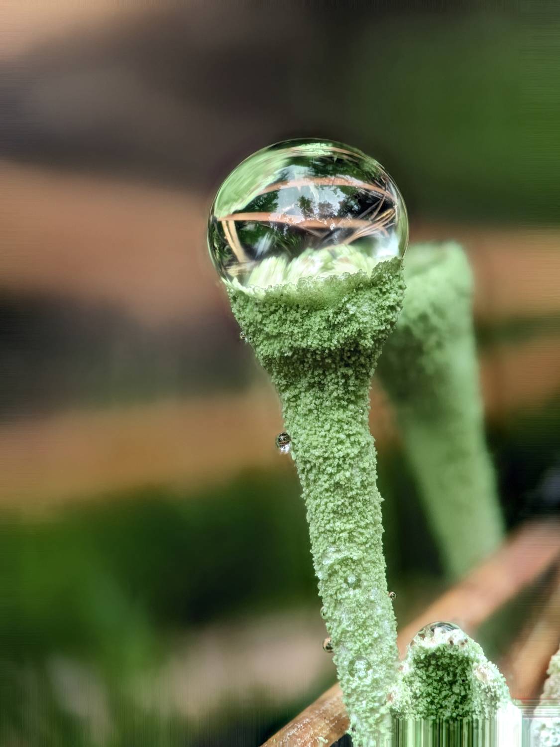 , Кузнецов Дмитрий