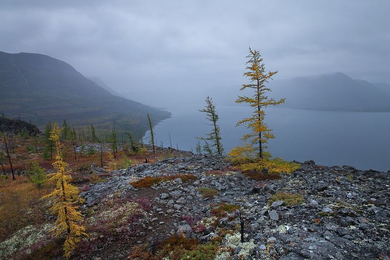 осень, плато путорана, озеро лама. Суровый Таймыр. Путораны. фото превью
