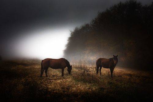 Autumn mood