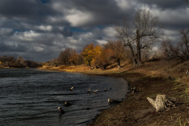 Поздняя осень фото превью