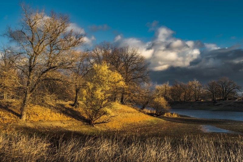 В ноябре фото превью