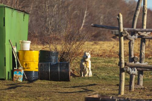 Хозяин бензоколонки