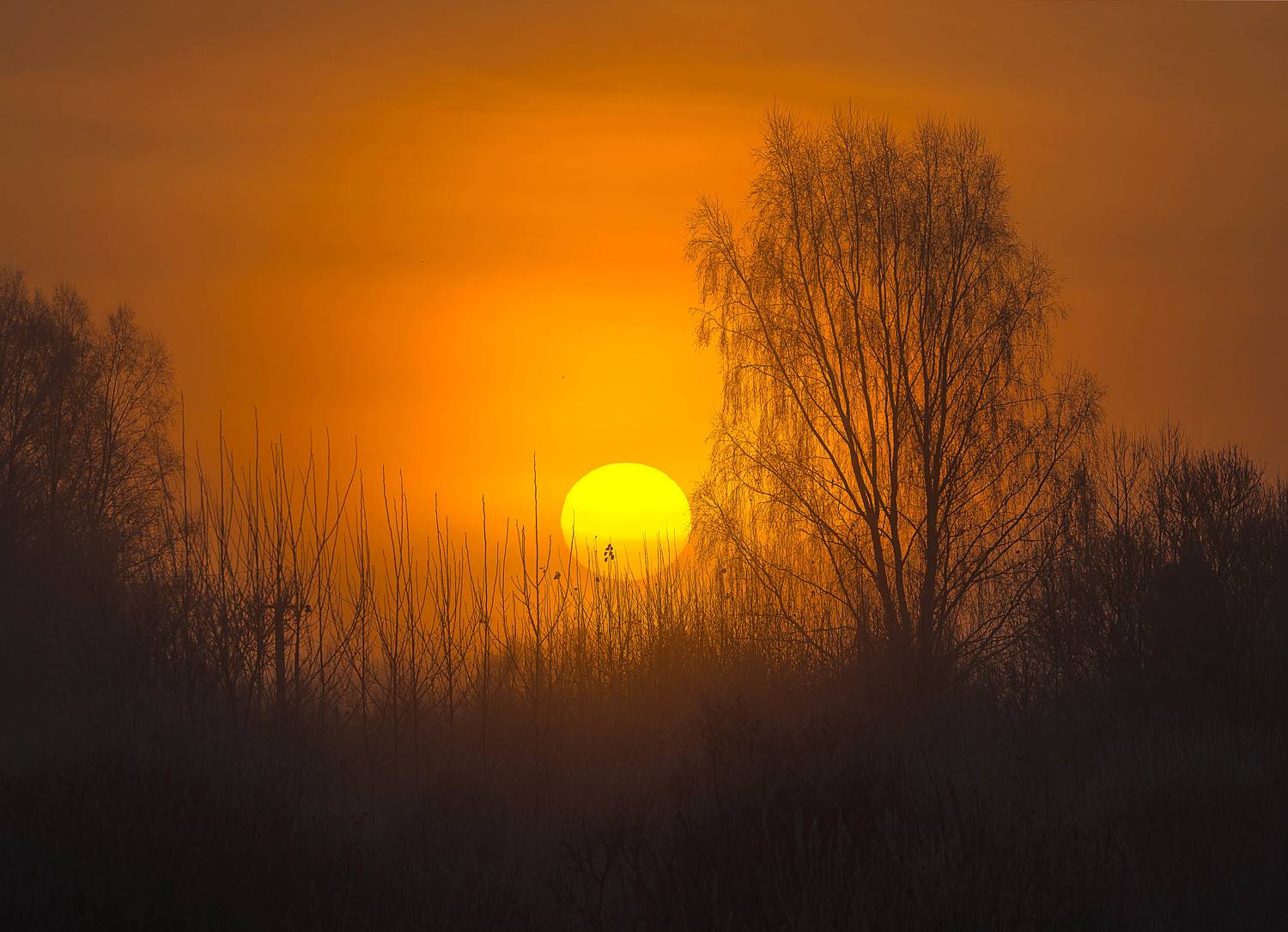 , Белоусов Михаил