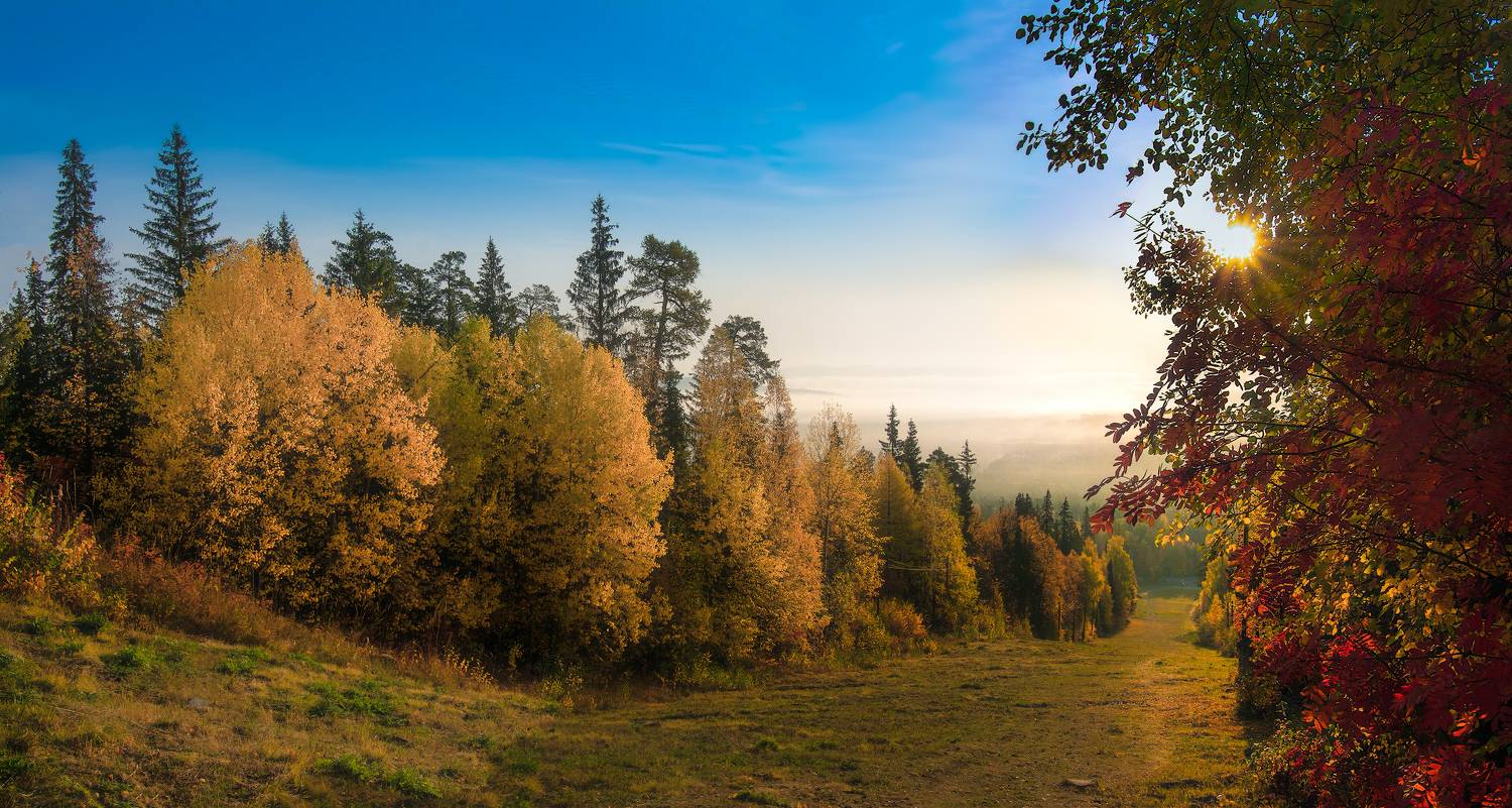 , Vladim Bormotov