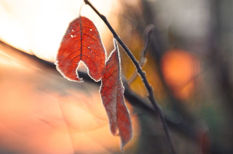 Поздний рассвет фото превью