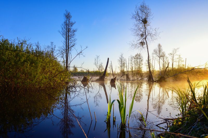 На рассвете фото превью
