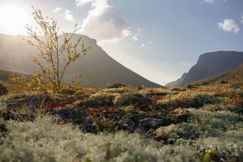 В Хибинах фото превью