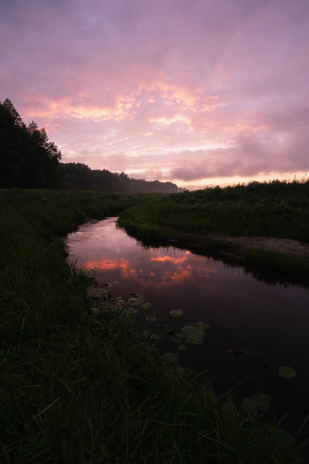 , Захаров Дмитрий
