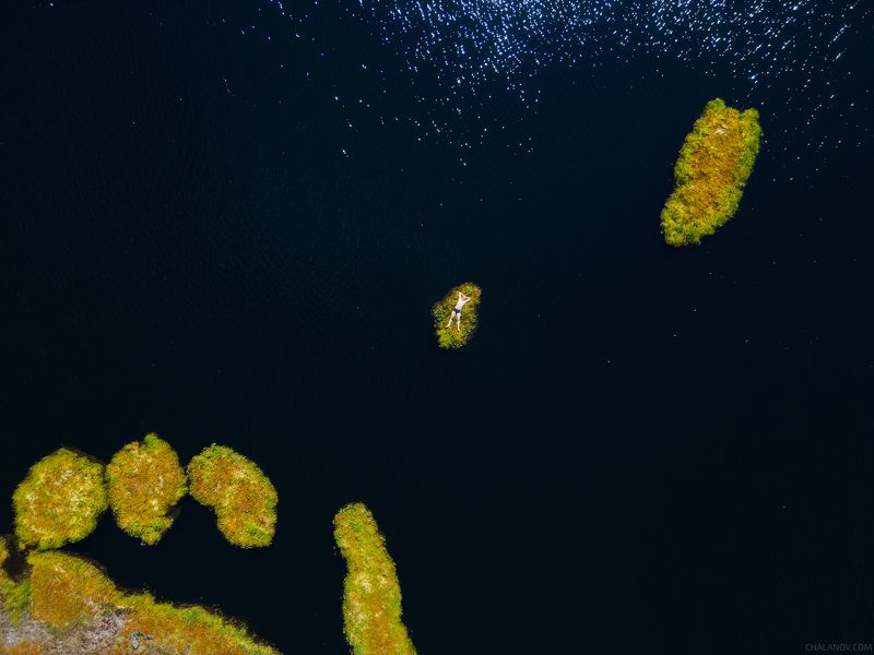 пейзаж, болото, остров, озеро, север, коми Персональный райский остров на озере Малый Кадам фото превью