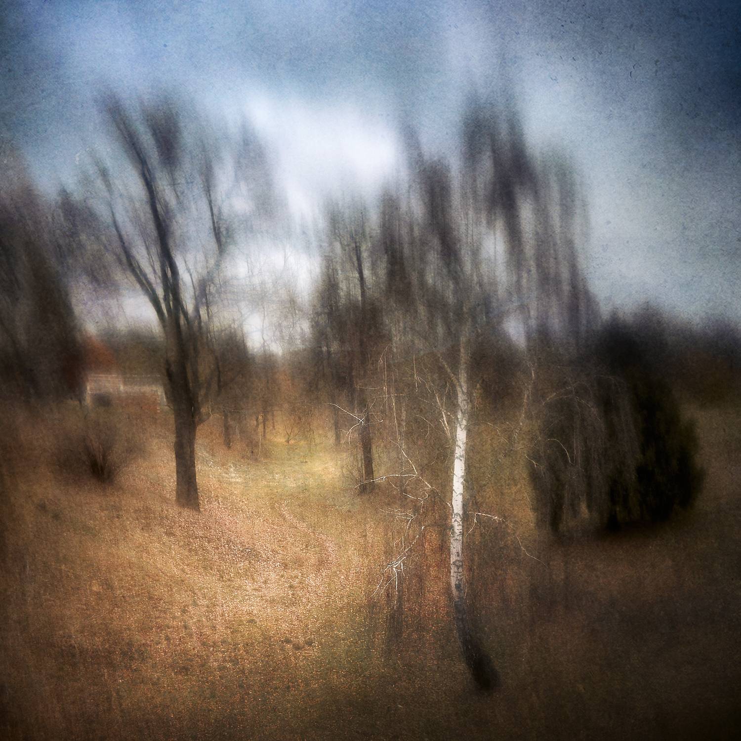 пейзаж, осень, импрессионизм, Сергей Кот
