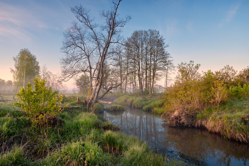 Середина мая ... фото превью