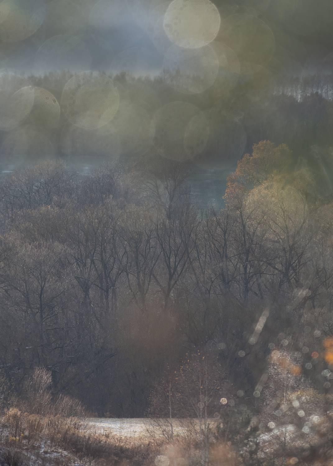 природа, осень, зима, снег, пейзаж, арт , Пронин Денис