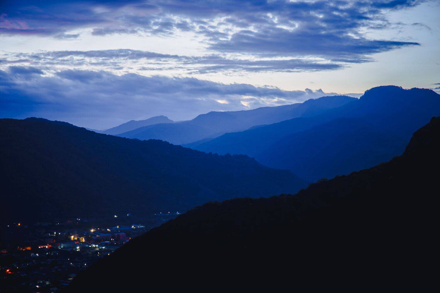 , Светлана Москвина