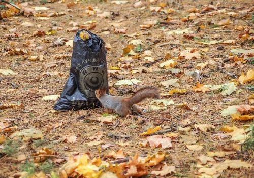 Ваш лучший выбор.