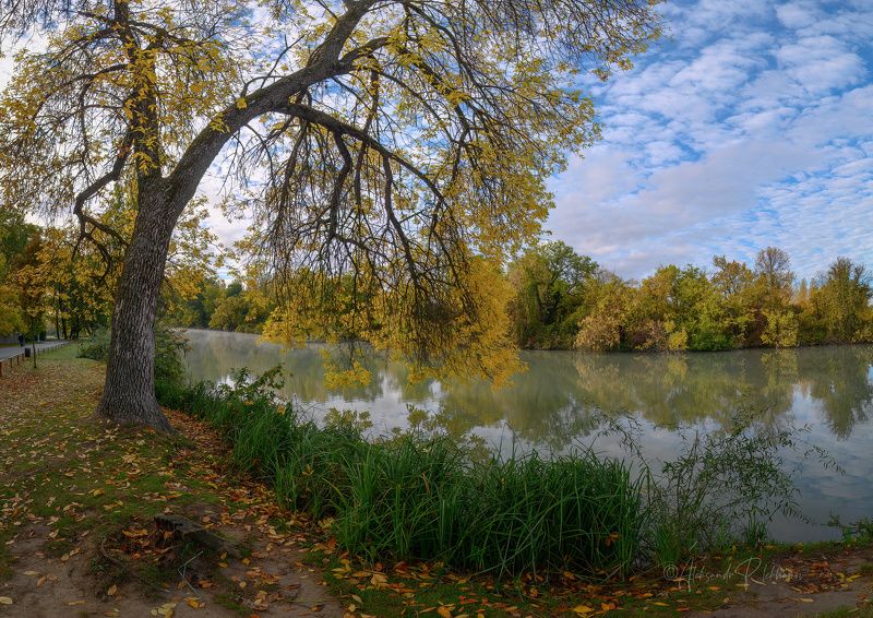 Склонилась осень над водою фото превью