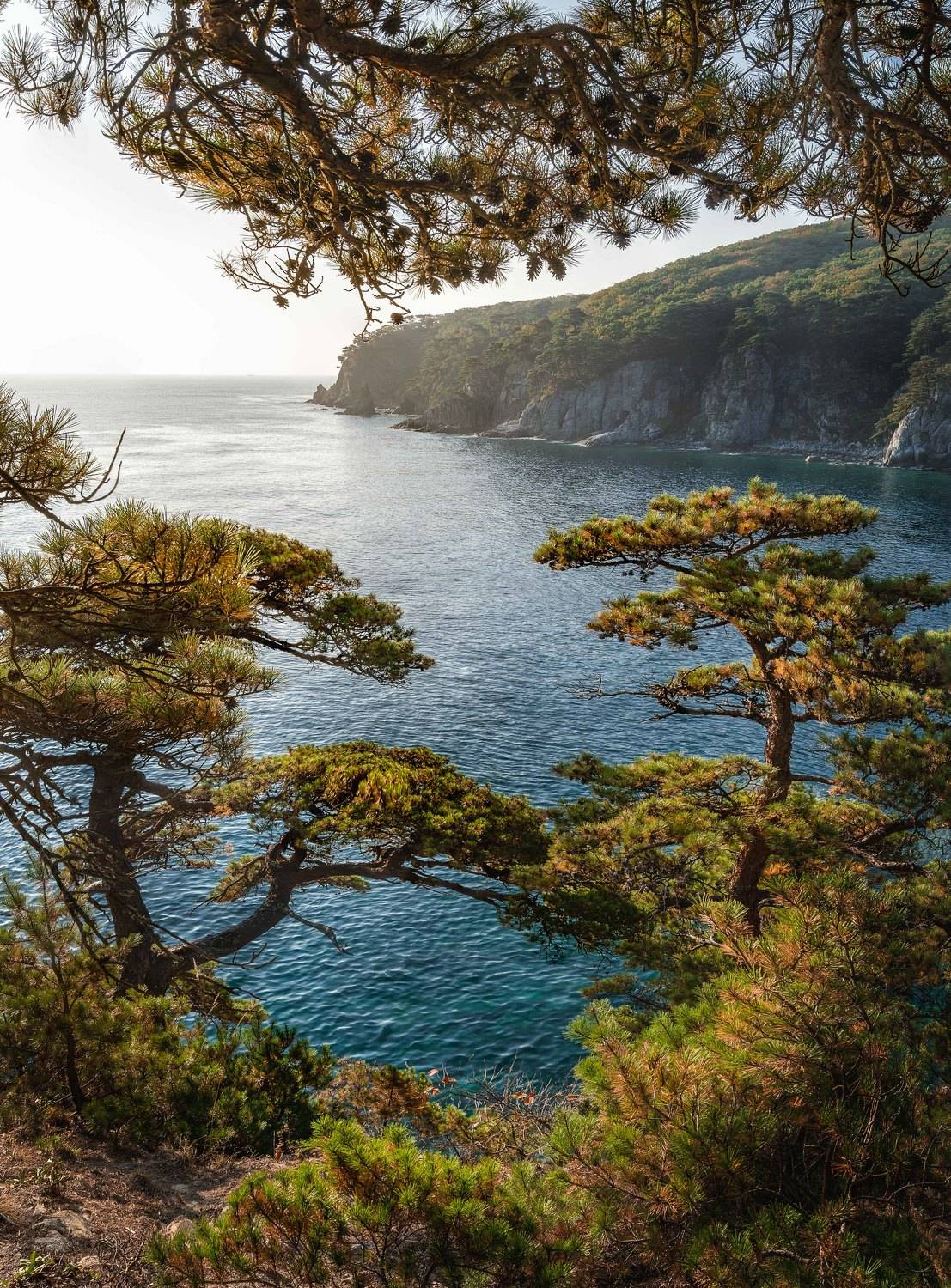 , Евгений Важенин