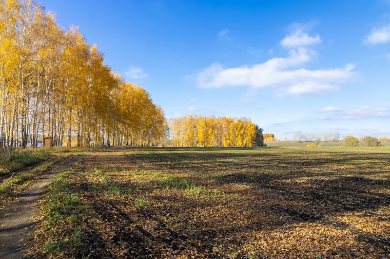 Уходящая фото превью