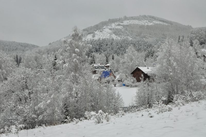 Подкатунь. Первый снег фото превью