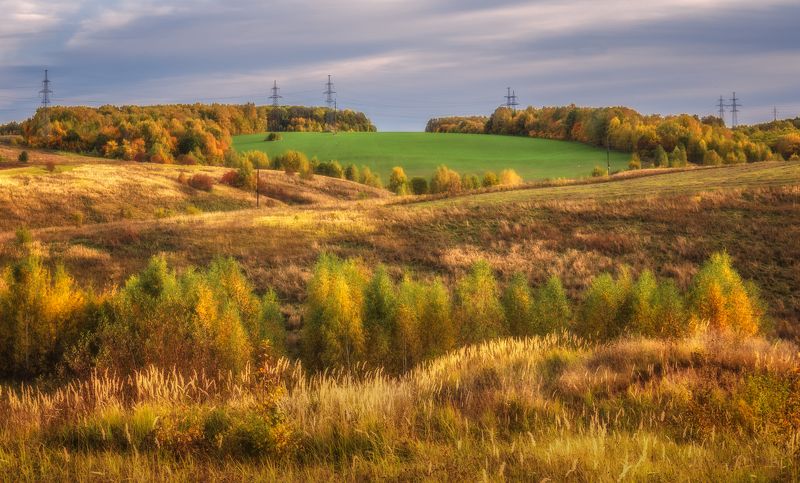Озимые фото превью