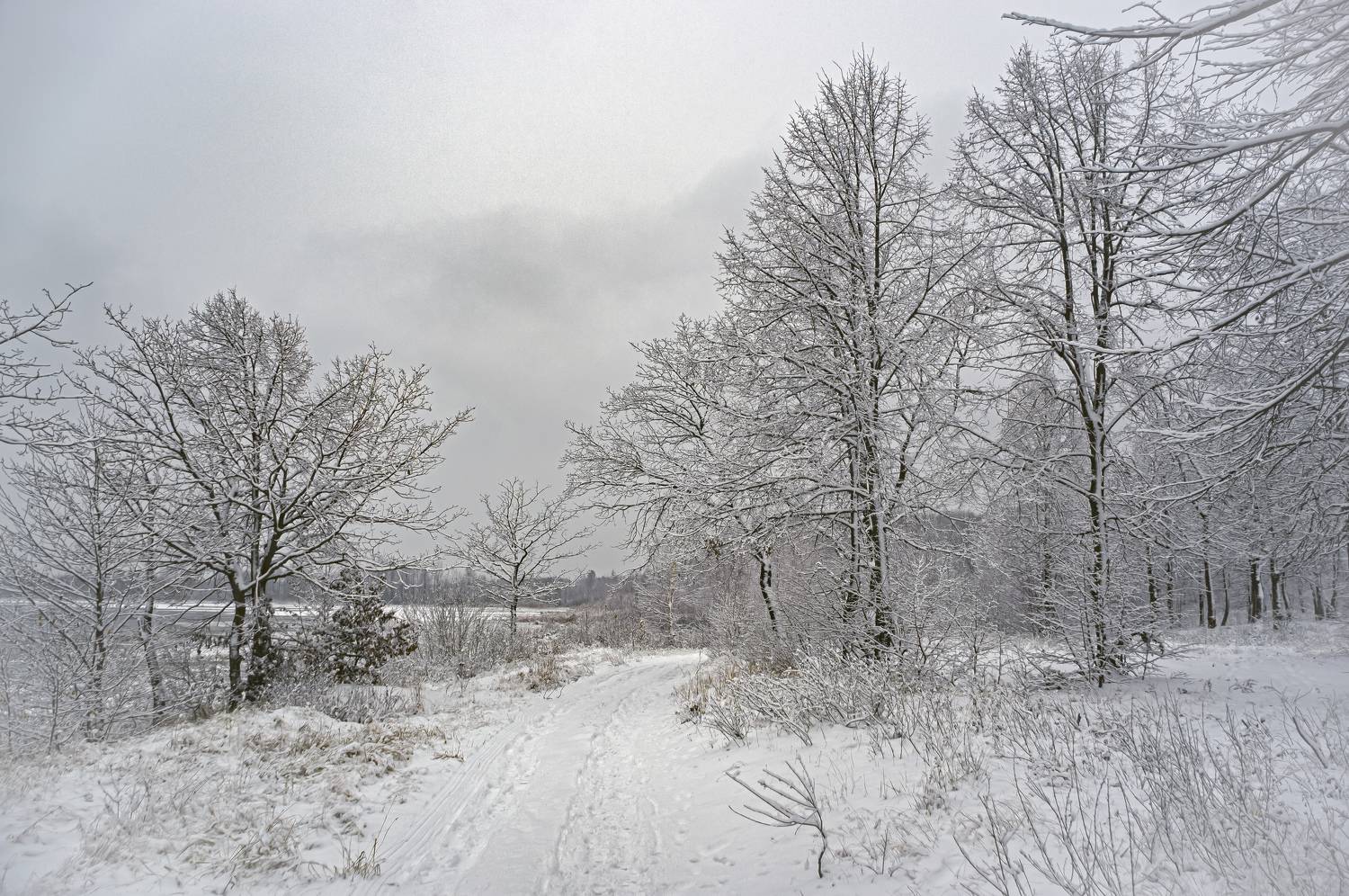 , Шитов Александр