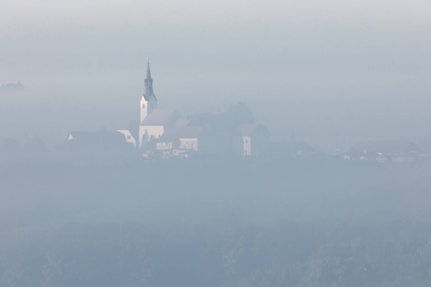 , Евгения Чех