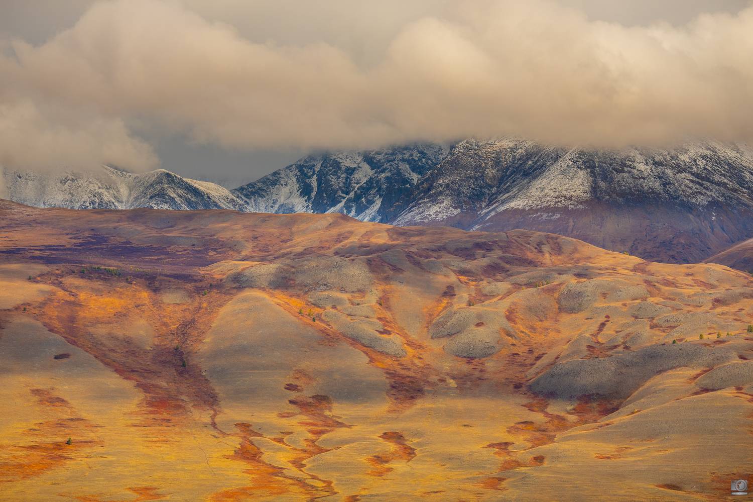 алтай, Ковалев Дмитрий