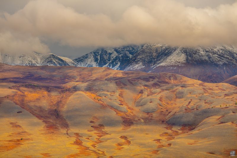 алтай Марс фото превью