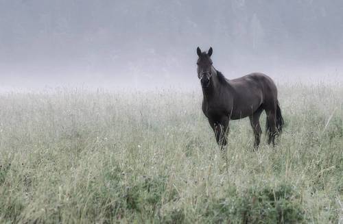 Ранним утром