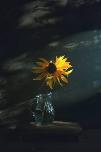 Цветок в графине..