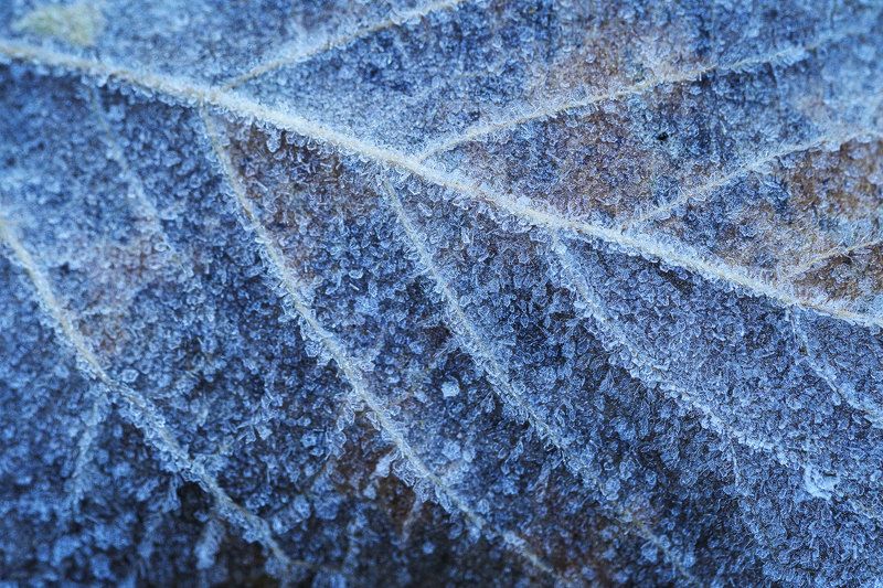 2024 фото превью