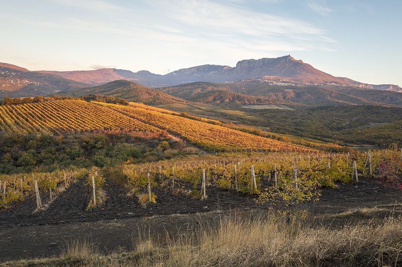 крым, утро, осень, горы, пейзаж, демерджи, Осенним утром. фото превью