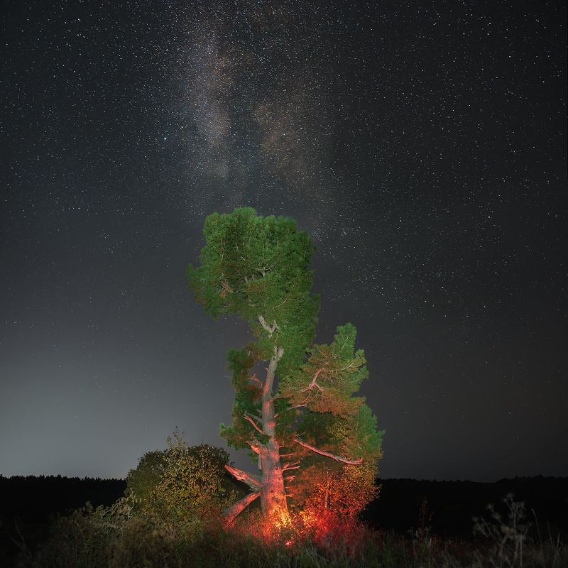 Осенняя ночь фото превью