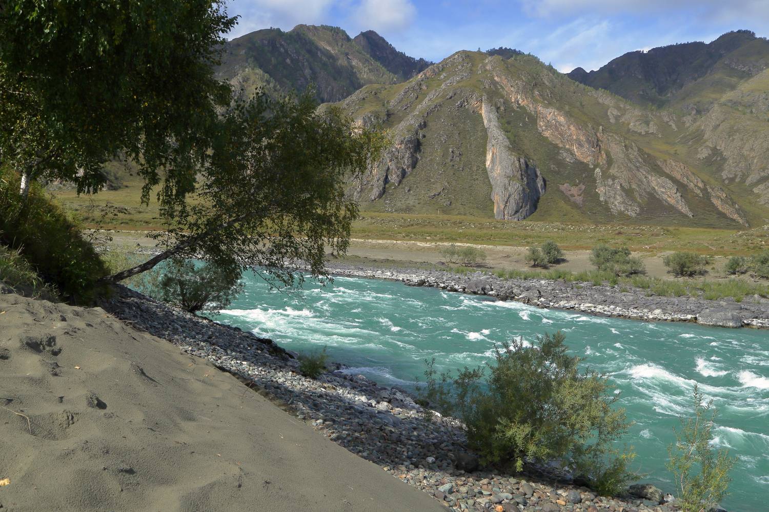 , Евгений Зинов