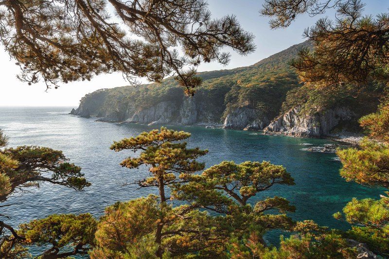 Очарование сосновых берегов… The charms of pine shores… фото превью