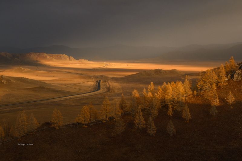 алтай, горный алтай, усть-кан, рю \