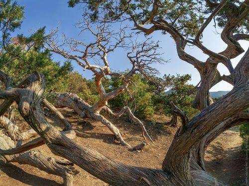 Природный абстракционизм