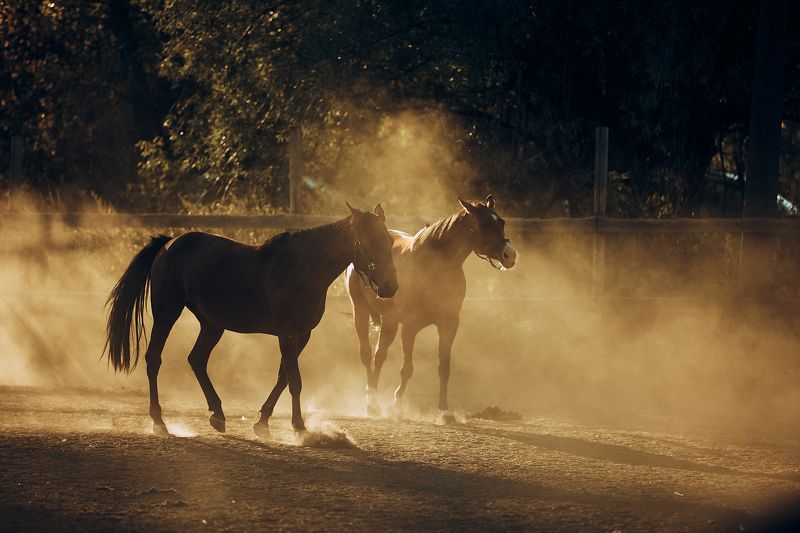 в Закат фото превью