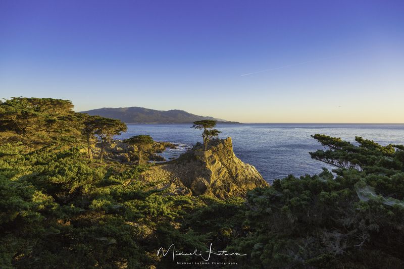 Lone Cypress фото превью