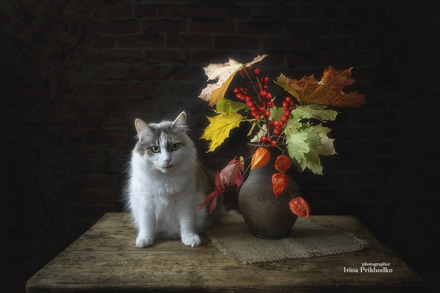 натюрморт, осенний букет, котопортрет, кошки, домашние животные, Приходько Ирина