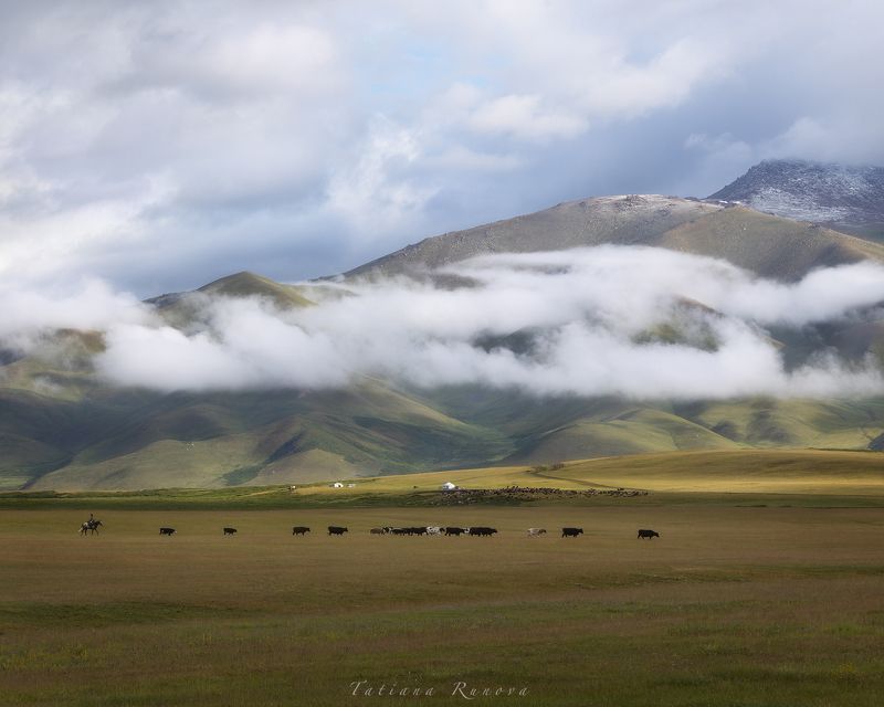 Домой.... фото превью