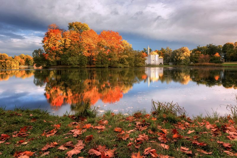 санкт-петербург, осень, екатерининский парк, царское село, пейзаж, пушкин Отражения осени фото превью