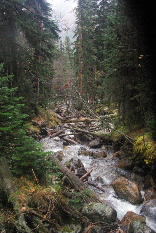 архыз Горная река ... фото превью