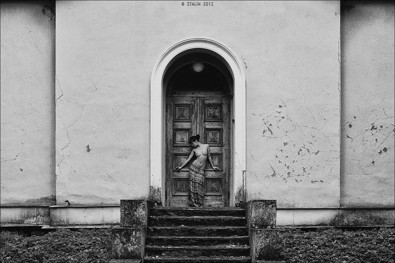 Chameleon фото превью