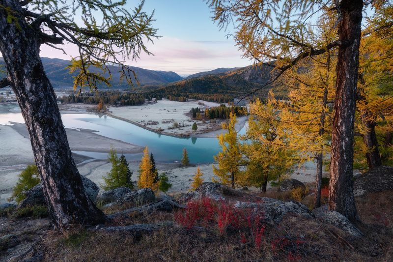 Нежное утро алтайской осени фото превью
