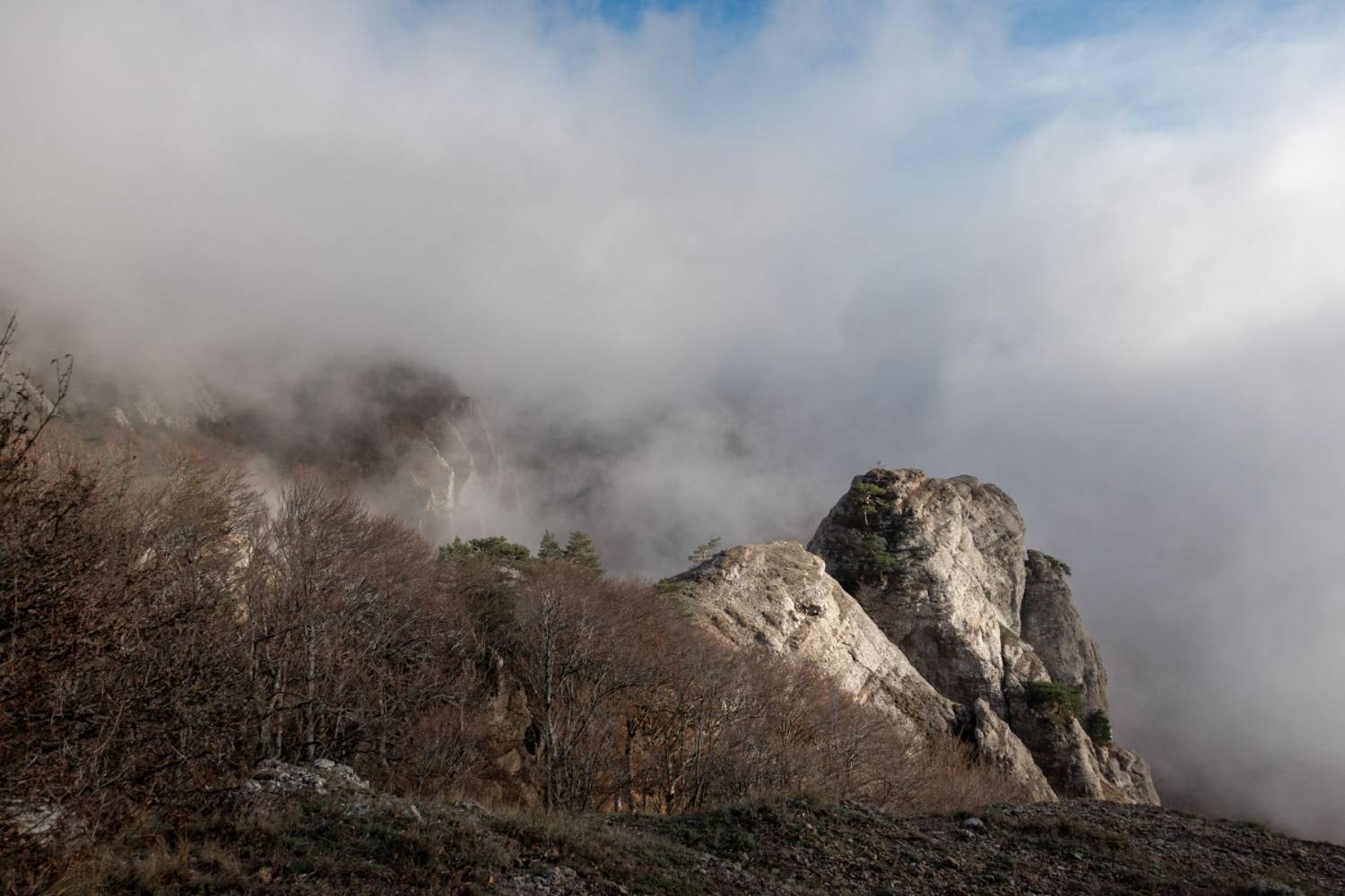 , Андрей Гусаченко