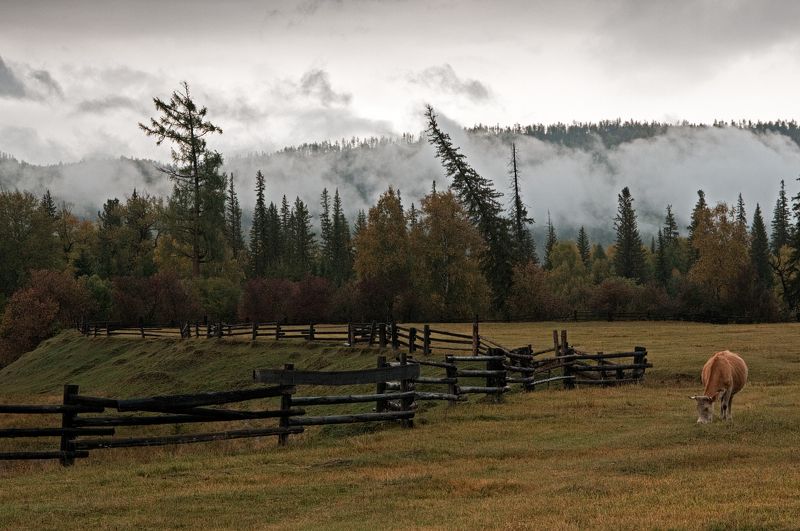Бурятия. Осень в Тункинской долине фото превью