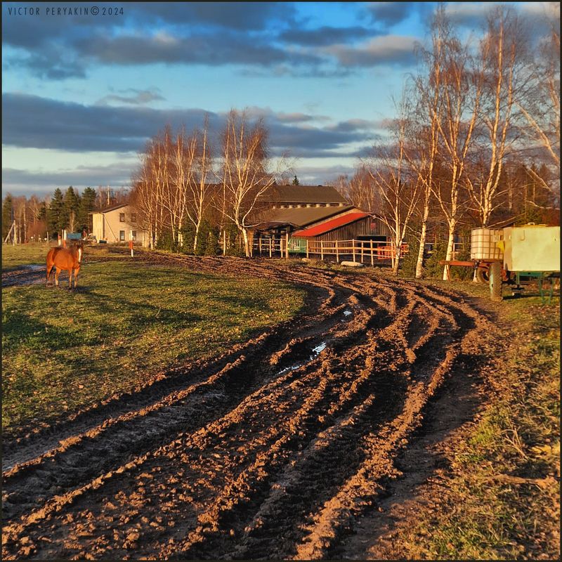 Осенний вечер на конюшне... фото превью